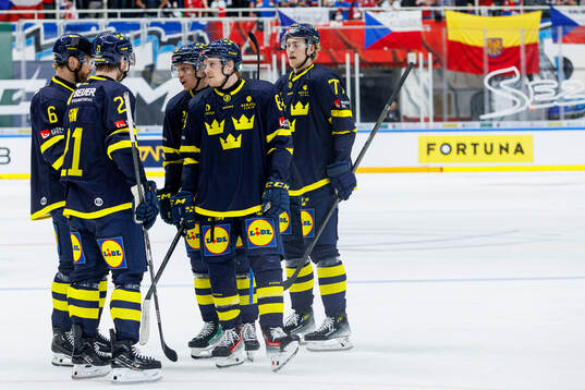 Players of Sweden
