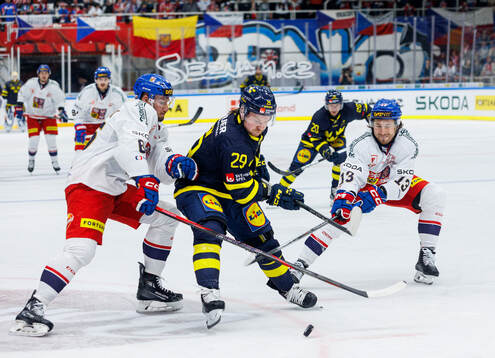 Radek Kucerik and Daniel Gazda of Czech Republic against