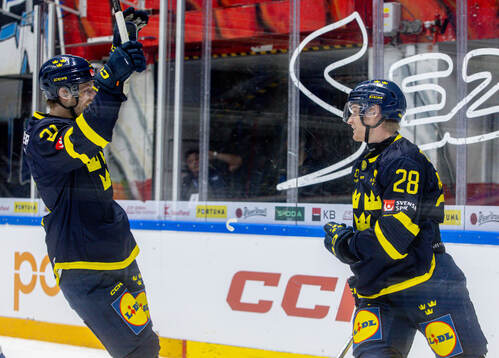 Christoffer Ehn and Anton Bengtsson of Sweden celebrate