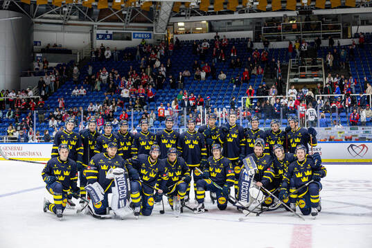 Players of Sweden
