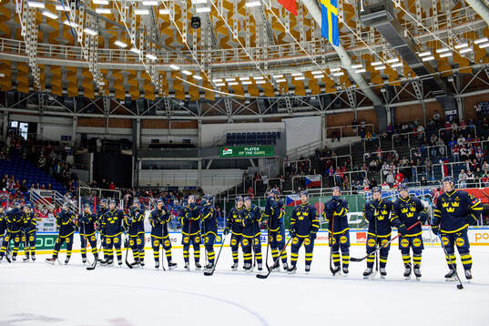 Players of Sweden