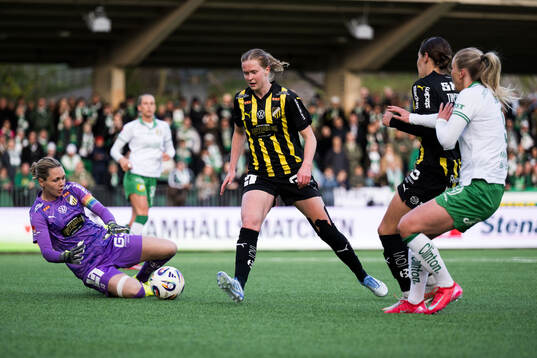 Häckens målvakt Jennifer Falk, Emma Östlund och Tabby
