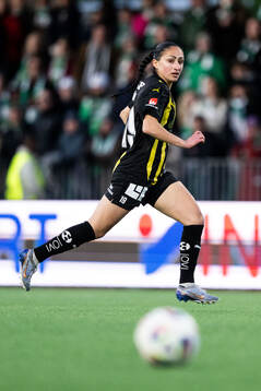 Häckens Nesrin Akgun