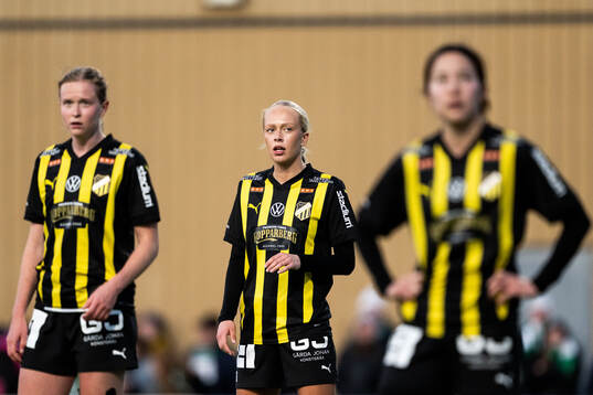 Häckens Lisa Löwing