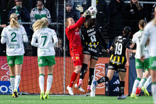 Hammarbys målvakt Anna Tamminen och Häckens Felicia