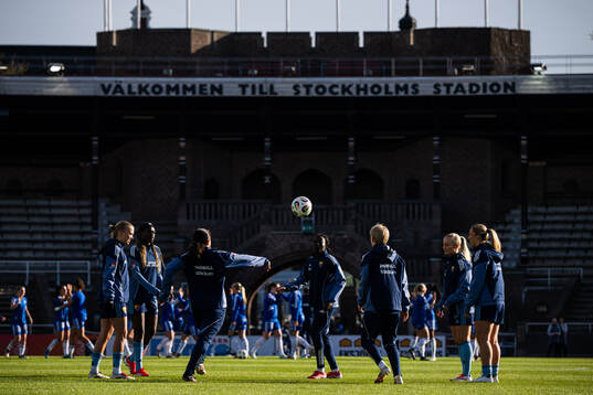 Djurgårdens spelare