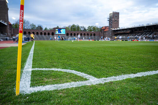 Gräset på Stockholm Stadion