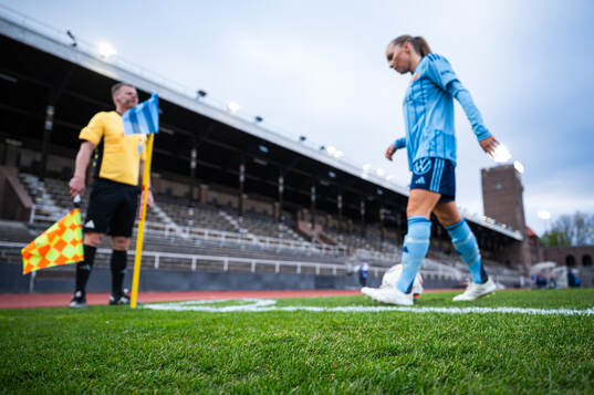 Gräset på Stockholm Stadion
