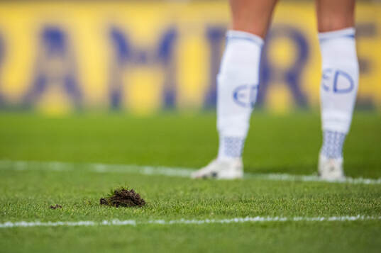 Gräset på Stockholm Stadion