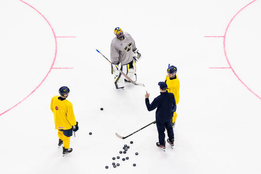 Christoffer Ehn, goaltender Samuel Ersson and Anton