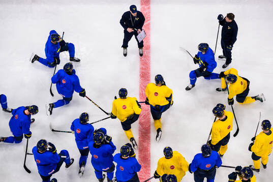 Head coach Sam Hallam of Sweden talking to players at a
