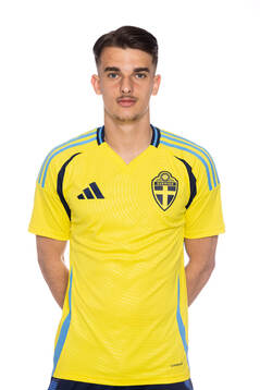 Dion Gashi