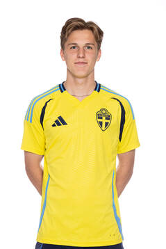 Daniel Bengtsson