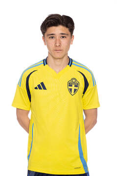 Vincent Larsson
