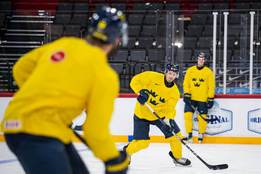 Christoffer Ehn of Sweden at a practice session
