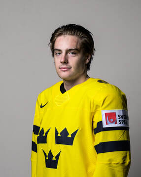 Leo Carlsson of Sweden poses for a portrait