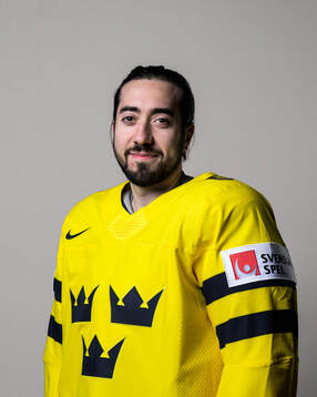Mika Zibanejad of Sweden poses for a portrait