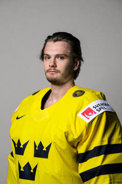 Goaltender Arvid Söderblom of Sweden poses for a portrait