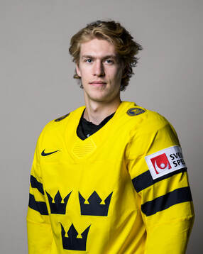 Simon Edvinsson of Sweden poses for a portrait