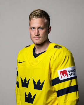 Gabriel Carlsson of Sweden poses for a portrait