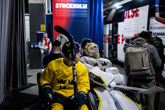 Goaltender Arvid Söderblom of Sweden