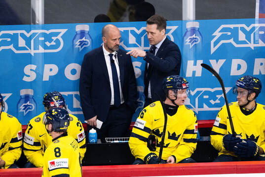 Head coach Sam Hallam of Sweden