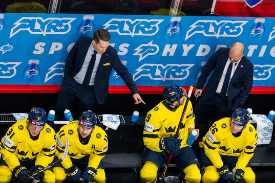 Head coach Sam Hallam of Sweden