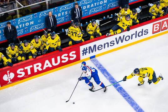 Milos Roman of Slovakia and Anton Bengtsson of Sweden