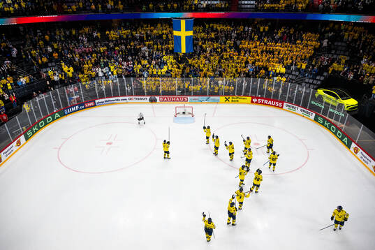 Players of Sweden recognizes the spectators