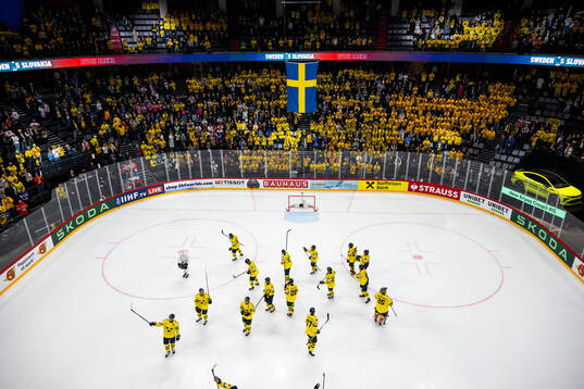 Players of Sweden recognizes the spectators
