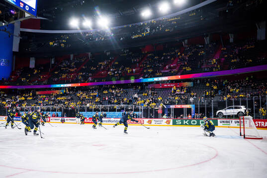 Players of Sweden
