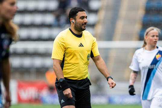 Domare Paul Shamoun