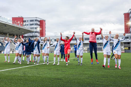 Djurgårdens spelare jublar