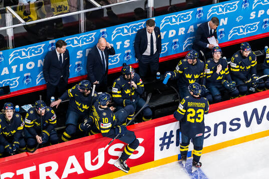 Head coach Sam Hallam of Sweden