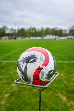 En fotboll