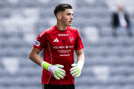 IFK Norrköpings målvakt David Andersson