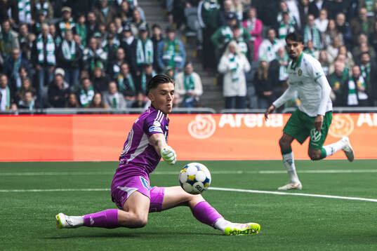 IFK Norrköpings målvakt David Andersson
