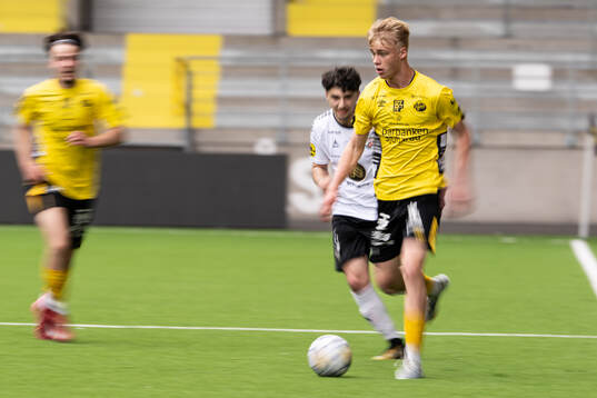 Elfsborgs Wilmer Carl Johansson