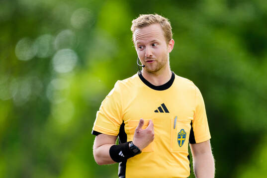 Assisterande domare Jesper Arnshed