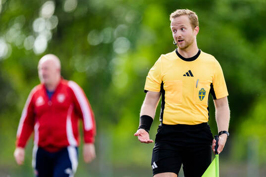 Assisterande domare Jesper Arnshed