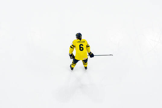 Adam Larsson of Sweden