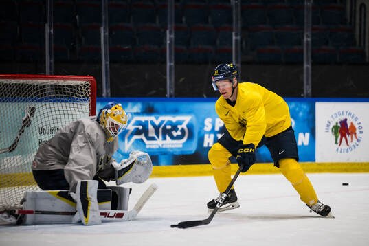 Goaltender Arvid Söderblom and Emil Heineman of Sweden at