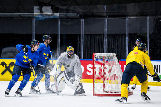 Leo Carlsson and goaltender Samuel Ersson of Sweden at a