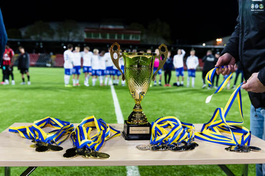 Medaljer och cupfinal pokal
