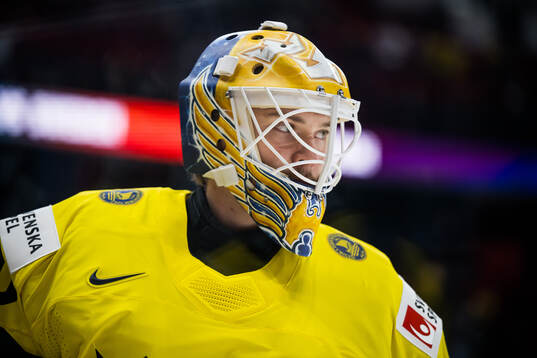 Goaltender Arvid Söderblom of Sweden