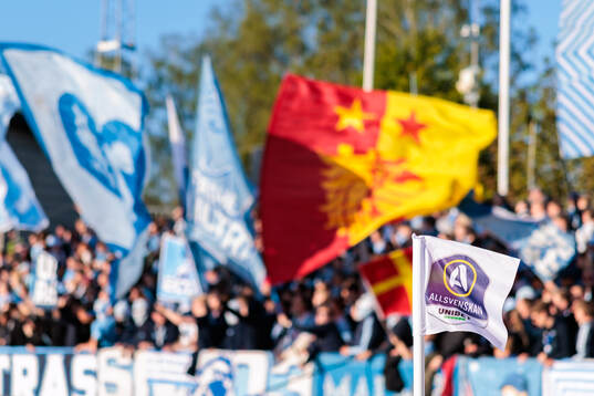 Hörnflagga