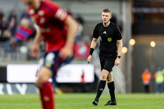 Domare Erik Mattsson