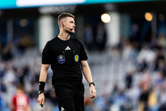 Domare Erik Mattsson