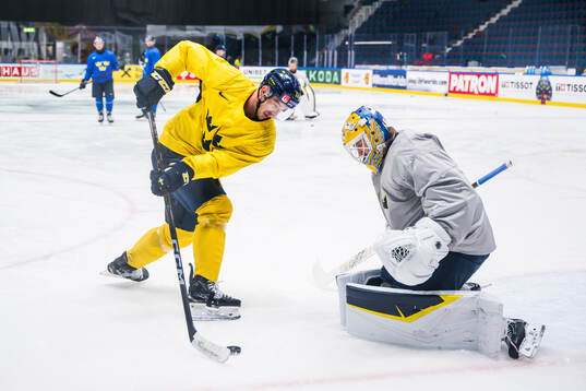 Mikael Backlund and goaltender Arvid Söderblom of Sweden
