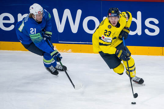 Jan Drozg of Slovenia and Lucas Raymond of Sweden